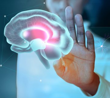 Brain study background mental health care medical technology 360x320