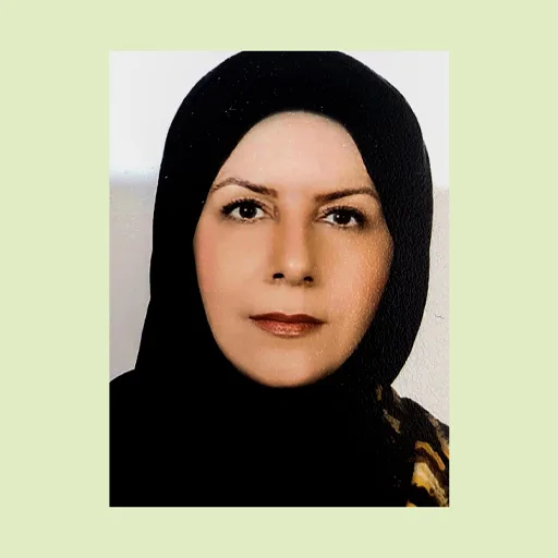 منصوری 1